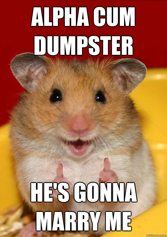 alpha cum dumpster he's gonna marry me   Rationalization Hamster