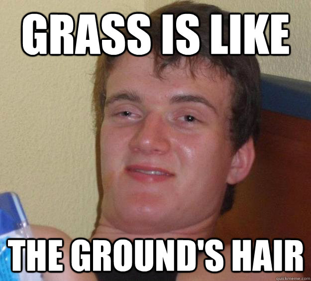 Grass is like the ground's hair  10 Guy