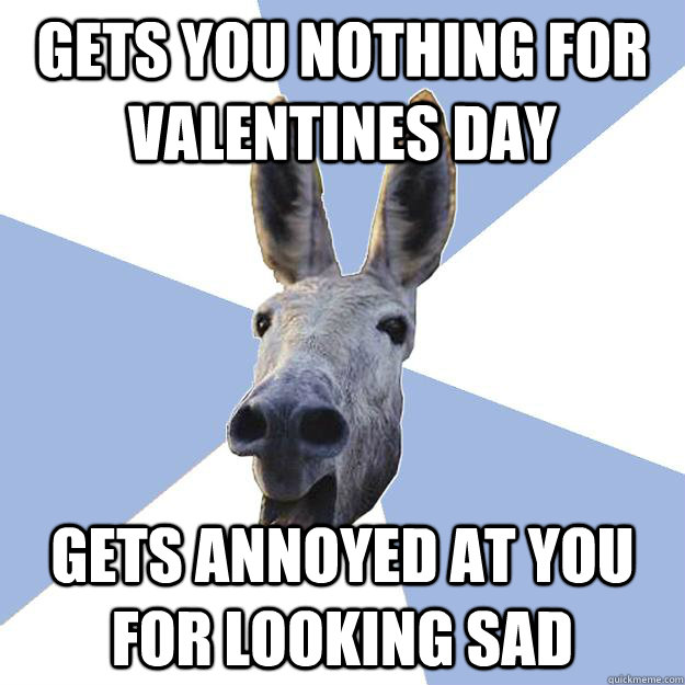 gets you nothing for valentines day Gets annoyed at you for looking sad  Jackass Boyfriend