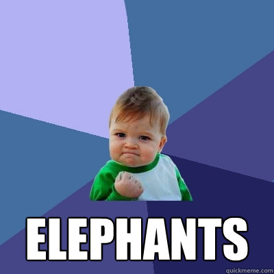  elephants  Success Kid