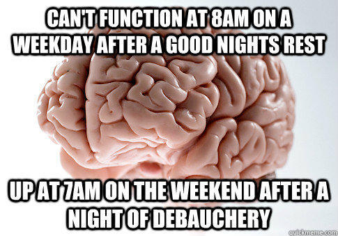 Can't function at 8am on a weekday after a good nights rest Up at 7am on the weekend after a night of debauchery - Can't function at 8am on a weekday after a good nights rest Up at 7am on the weekend after a night of debauchery  Scumbag Brain