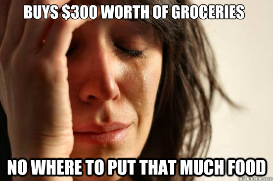 Buys $300 worth of groceries No where to put that much food  First World Problems