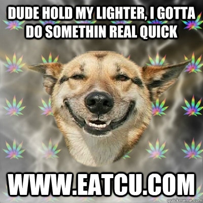 dude hold my lighter, i gotta do somethin real quick www.eatcu.com  Stoner Dog