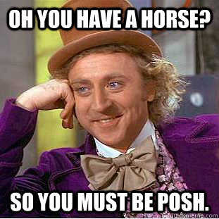 Oh you have a horse? so you must be posh.  Condescending Wonka