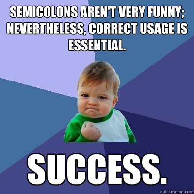 Semicolons aren't very funny; nevertheless, correct usage is essential.  Success.  Success Kid