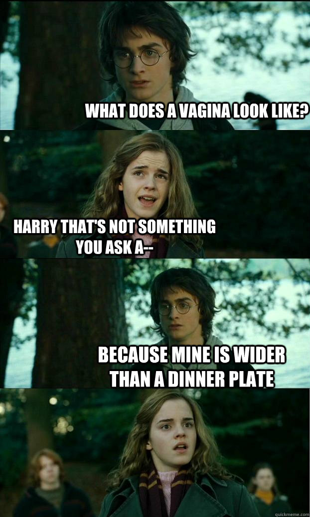 What does a vagina look like? Harry that's not something you ask a-- Because mine is wider than a dinner plate  Horny Harry