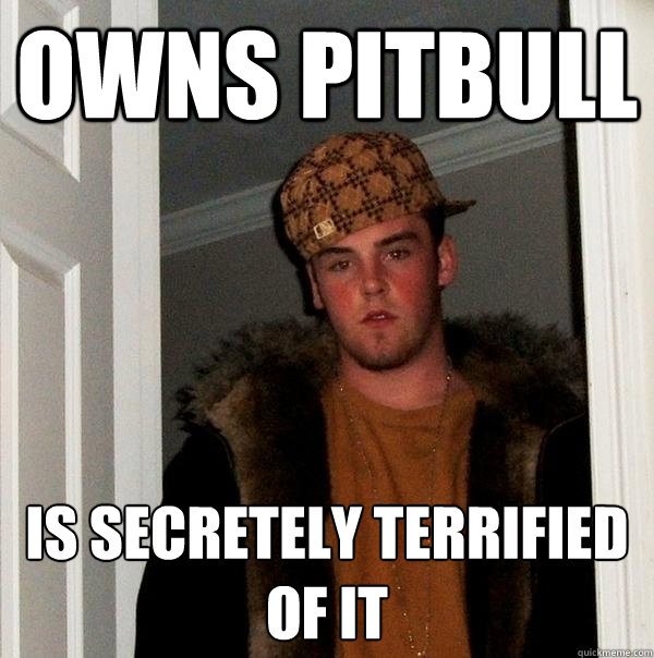 Owns pitbull is secretely terrified of it  Scumbag Steve