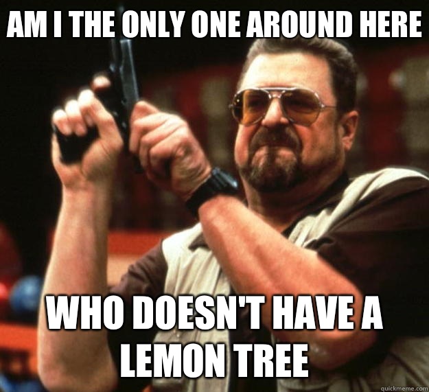 Am I the only one around here Who doesn't have a lemon tree  Big Lebowski