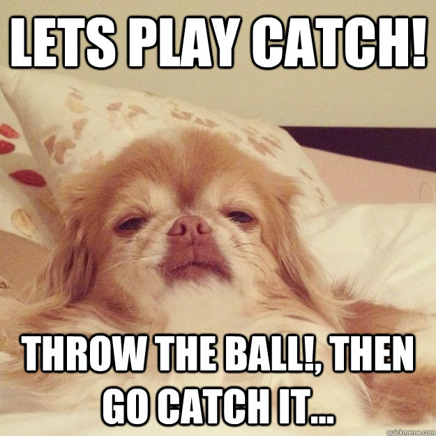 Lets play catch! Throw the ball!, then go catch it... - Lets play catch! Throw the ball!, then go catch it...  Misc