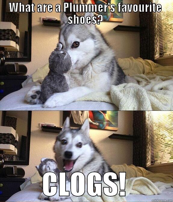 Mr Clogo - WHAT ARE A PLUMMER'S FAVOURITE SHOES? CLOGS! Misc