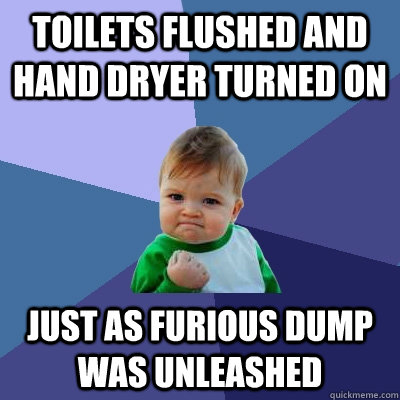 Toilets flushed and hand dryer turned on Just as furious dump was unleashed - Toilets flushed and hand dryer turned on Just as furious dump was unleashed  Success Kid