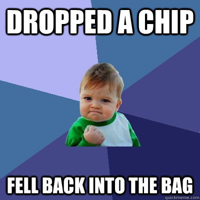 Dropped a cHip Fell back into the bag  Success Kid