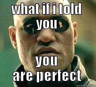 WHAT IF I TOLD YOU YOU ARE PERFECT Matrix Morpheus