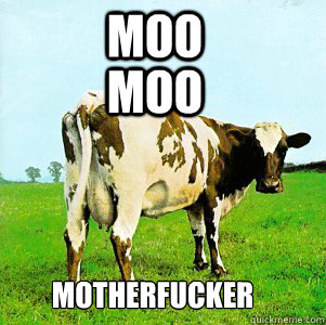 moo moo motherfucker  Atom Heart Cow