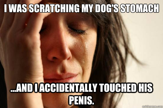 I was scratching my dog's stomach ...and I accidentally touched his penis.   First World Problems