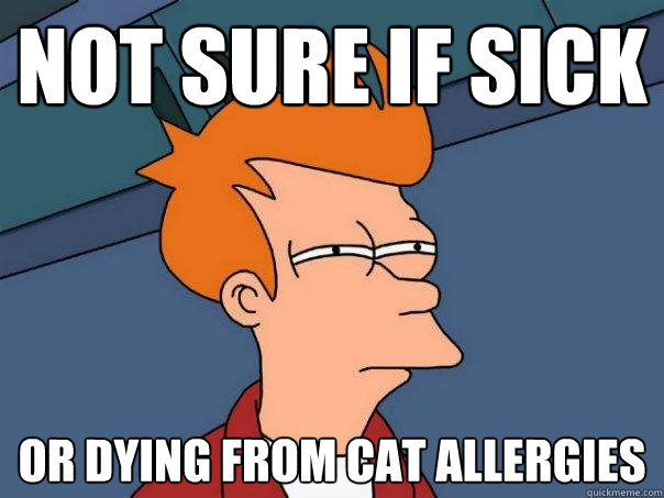 Not sure if sick or dying from cat allergies - Not sure if sick or dying from cat allergies  Futurama Fry