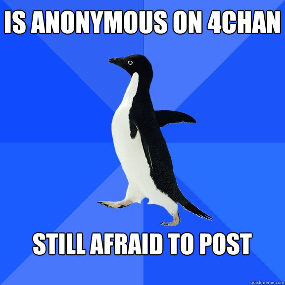 Is anonymous on 4chan  Still afraid to post   Socially Awkward Penguin