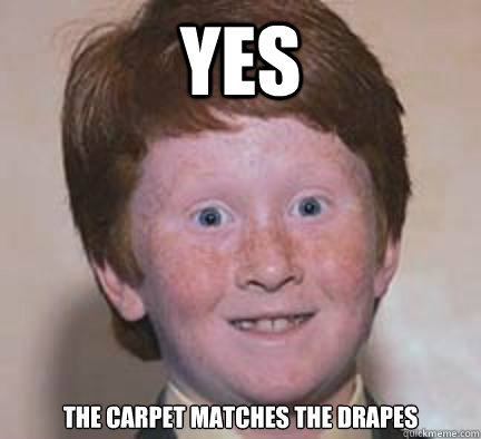 yes the carpet matches the drapes - yes the carpet matches the drapes  Over Confident Ginger