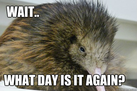 Wait..  What day is it again? - Wait..  What day is it again?  Future Kiwi