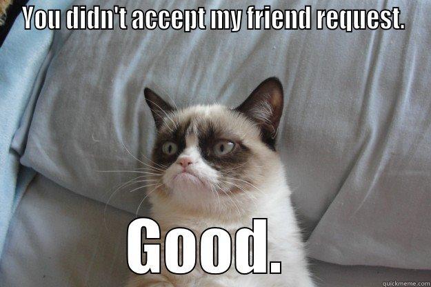 YOU DIDN'T ACCEPT MY FRIEND REQUEST. GOOD.  Grumpy Cat