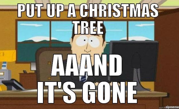 PUT UP A CHRISTMAS TREE AAAND IT'S GONE aaaand its gone