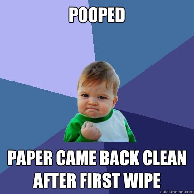 Pooped paper came back clean after first wipe  Success Kid