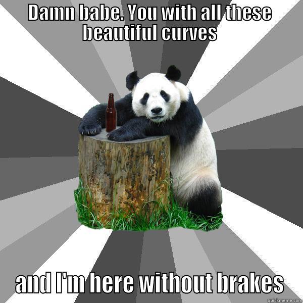 DAMN BABE. YOU WITH ALL THESE BEAUTIFUL CURVES AND I'M HERE WITHOUT BRAKES Pickup-Line Panda