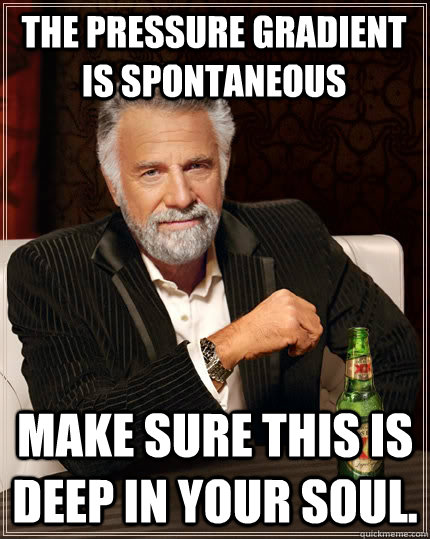 The pressure gradient is spontaneous Make sure this is deep in your soul.  The Most Interesting Man In The World