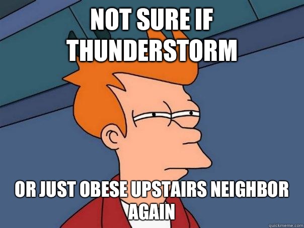 Not sure if thunderstorm Or just obese upstairs neighbor again  Futurama Fry