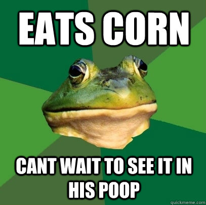 eats corn cant wait to see it in his poop - eats corn cant wait to see it in his poop  Foul Bachelor Frog