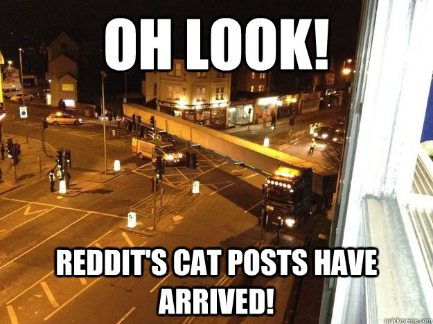 Oh look! Reddit's cat posts have arrived!  
