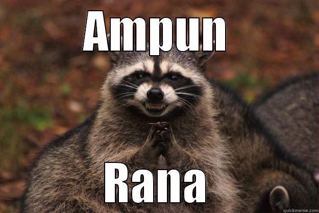 AMPUN RANA Evil Plotting Raccoon