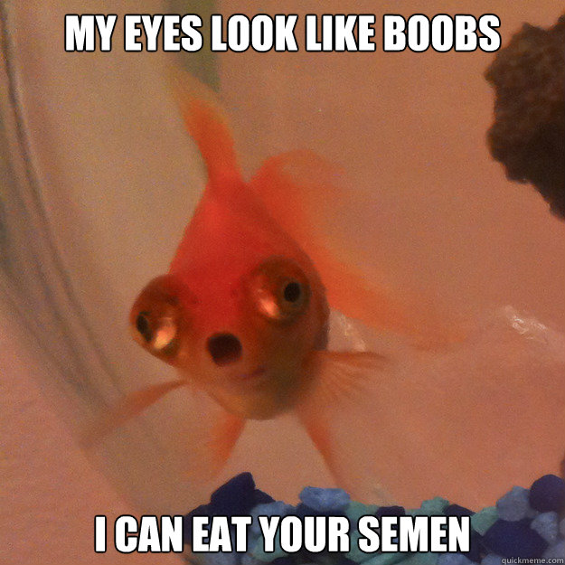 My eyes look like boobs I can eat your semen - My eyes look like boobs I can eat your semen  Shocked Fish