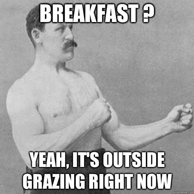 Breakfast ? Yeah, it's outside grazing right now  overly manly man