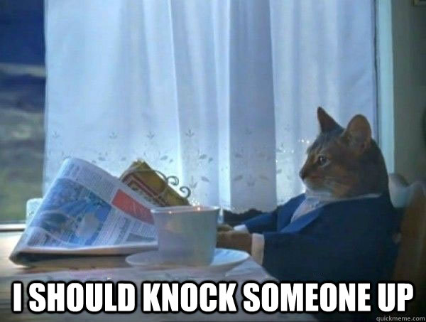  i should knock someone up -  i should knock someone up  morning realization newspaper cat meme