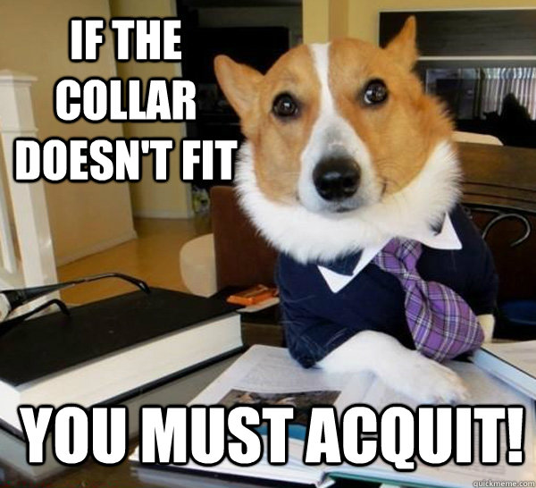 If the collar doesn't fit You Must Acquit!  Lawyer Dog