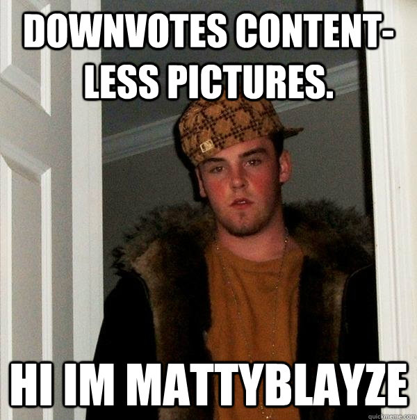 Downvotes content-less pictures. hi im mattyblayze  Scumbag Steve