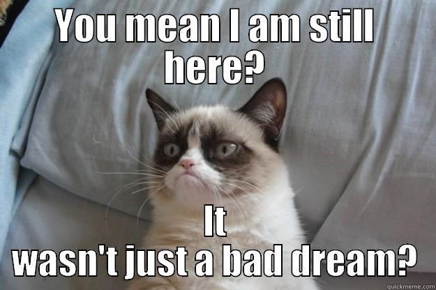 Israel after 40 years - YOU MEAN I AM STILL HERE? IT WASN'T JUST A BAD DREAM? Grumpy Cat