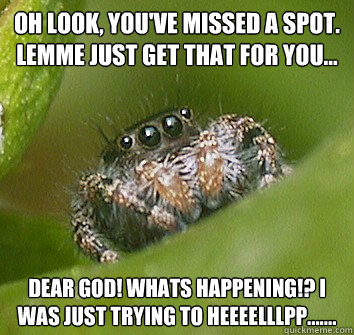 Oh look, you've missed a spot. Lemme just get that for you... dear god! Whats happening!? I was just trying to heeeelllpp.......  Misunderstood Spider