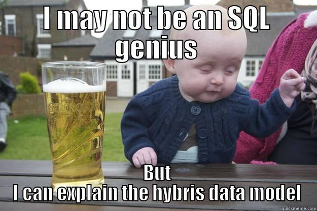 I MAY NOT BE AN SQL GENIUS BUT I CAN EXPLAIN THE HYBRIS DATA MODEL drunk baby