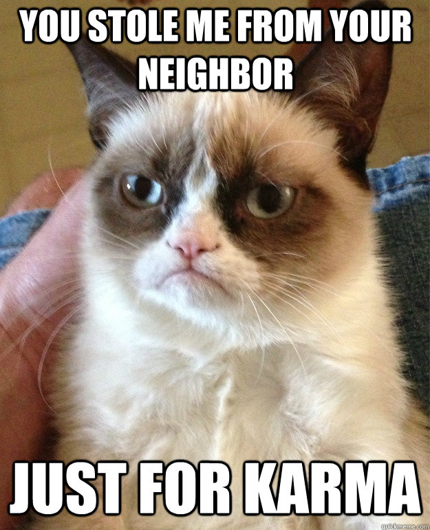 You stole me from your neighbor Just for karma  Grumpy Cat