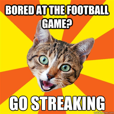 Bored at the football game? go streaking  Bad Advice Cat