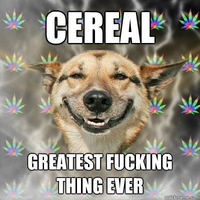 cereal greatest fucking thing ever  Stoner Dog