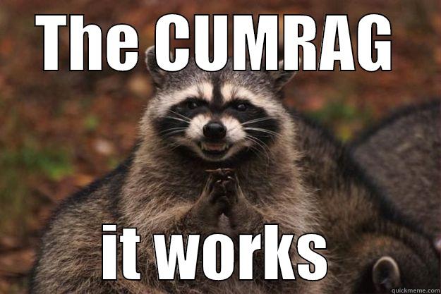 THE CUMRAG IT WORKS Evil Plotting Raccoon