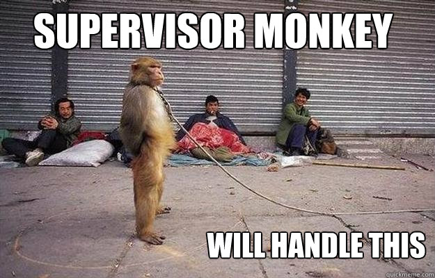 Supervisor Monkey Will handle this - Supervisor Monkey Will handle this  Superior Monkey