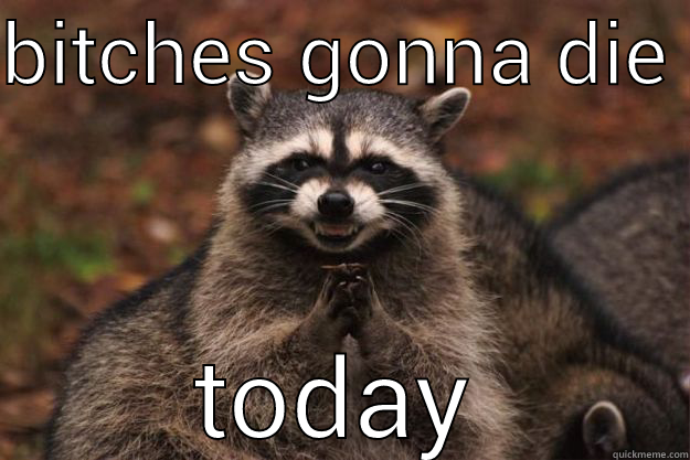 BITCHES GONNA DIE  TODAY Evil Plotting Raccoon