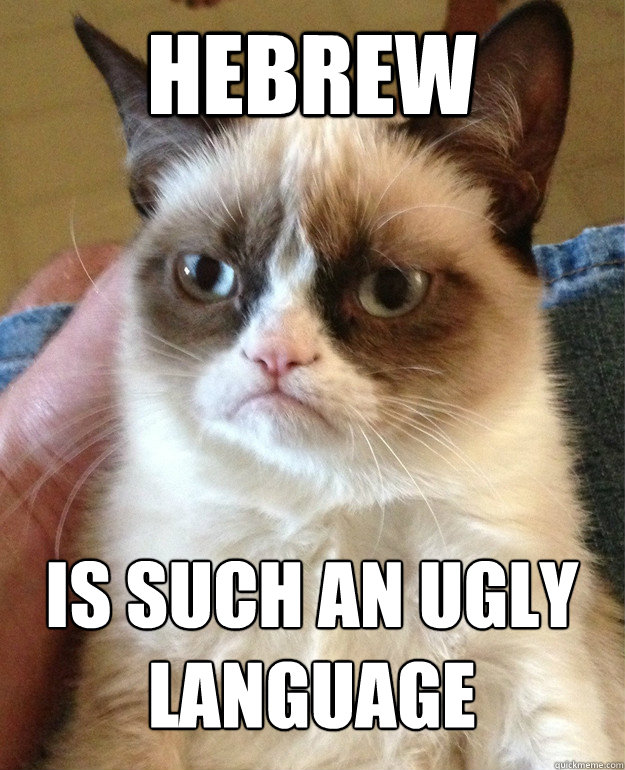 hebrew is such an ugly language  Grumpy Cat