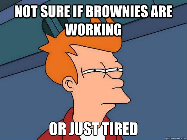 Not sure if brownies are working Or just tired   Futurama Fry