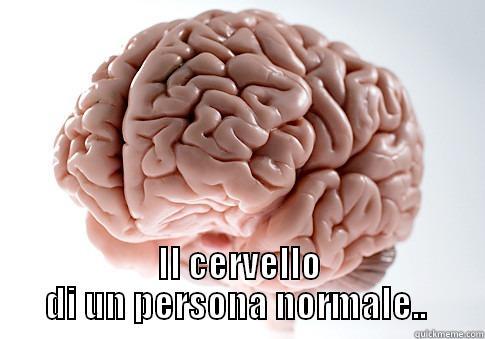 fghgfdfgf (: -  IL CERVELLO DI UN PERSONA NORMALE..  Scumbag Brain