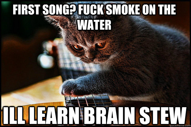 first song? fuck smoke on the water ill learn brain stew - first song? fuck smoke on the water ill learn brain stew  Guitar Cat